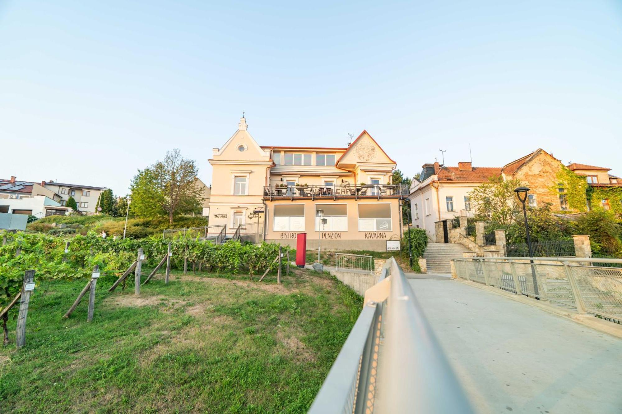 Penzion Nad Lavkou Uherský Brod Екстериор снимка